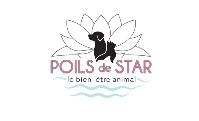 Lire la suite à propos de l’article Notre site internet enfin disponible !